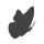 lefpap